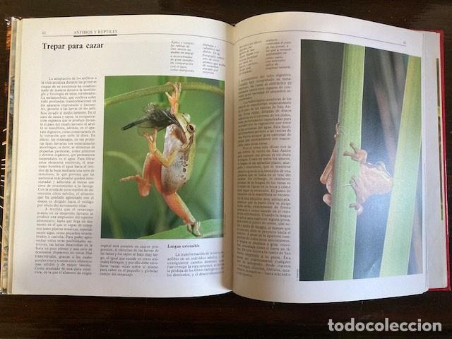 Enciclopedias: Enciclopedia El reto de la vida - Foto 3