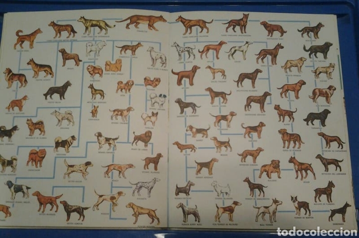 Enciclopedias: EL PERRO NUESTRO AMIGO (LIBRO) - Foto 4