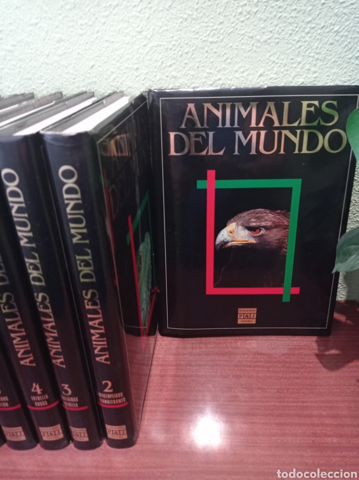 Enciclopedias: Animales del mundo - Foto 2