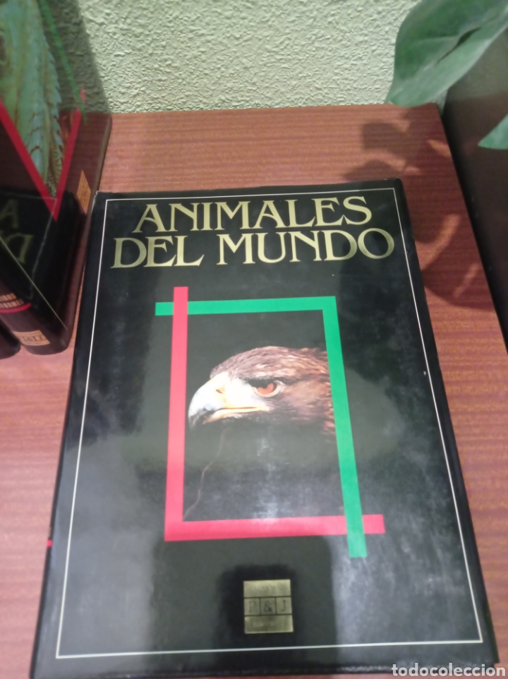 Enciclopedias: Animales del mundo - Foto 1