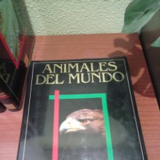 Enciclopedias: ANIMALES DEL MUNDO. Lote 360078305