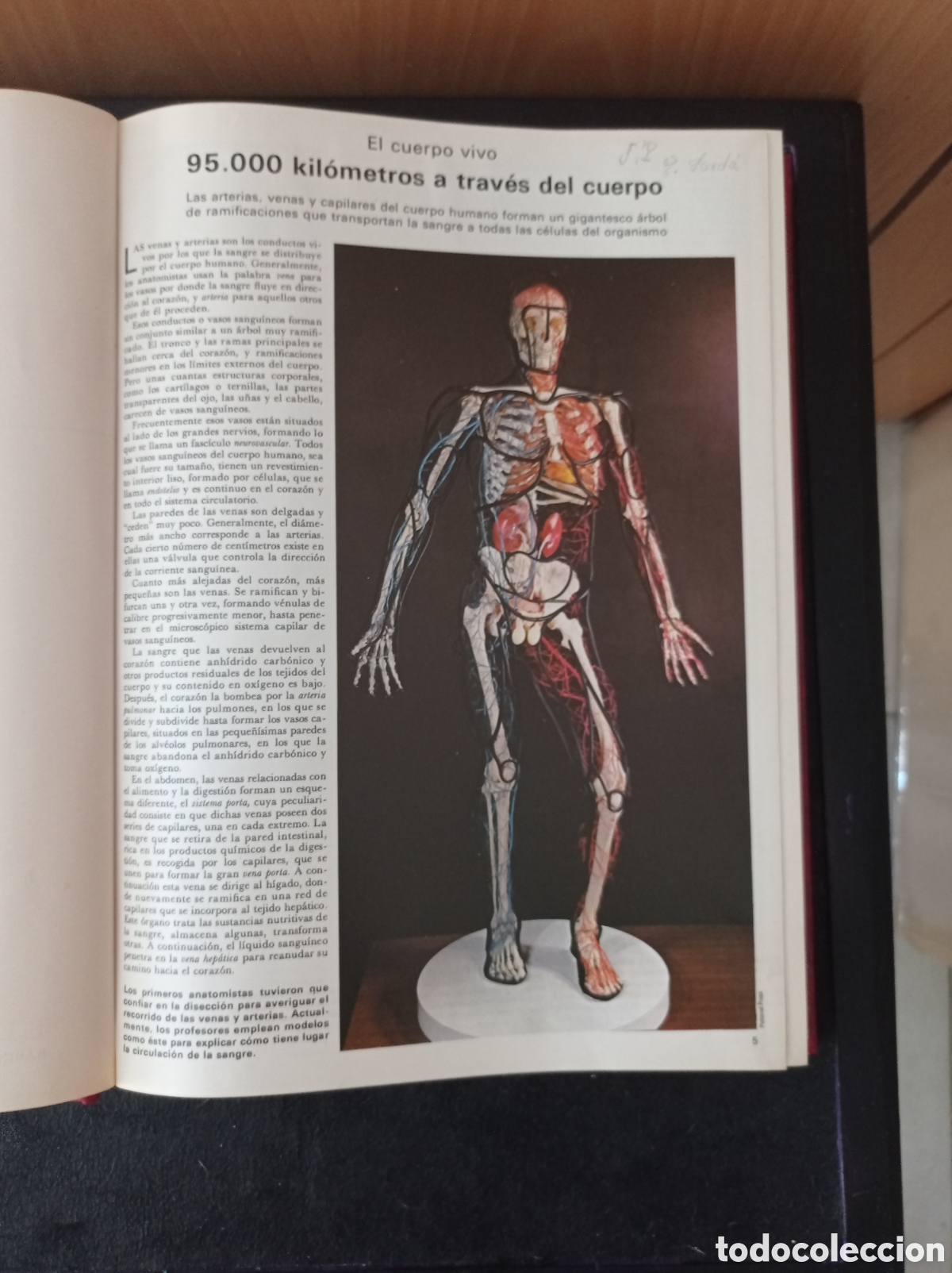 Enciclopedias: Gran enciclopedia de la vida - Foto 2