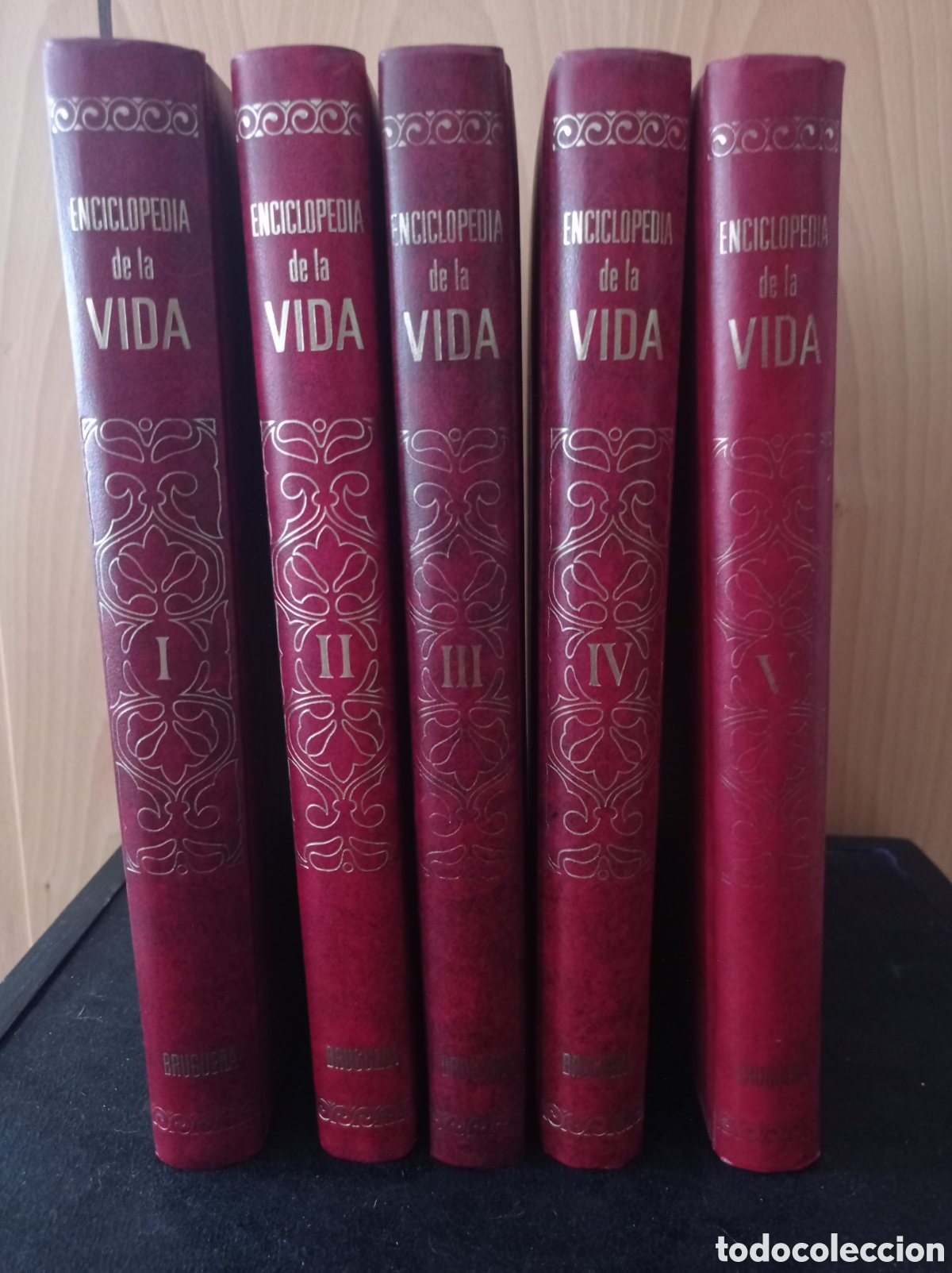 Enciclopedias: Gran enciclopedia de la vida - Foto 3