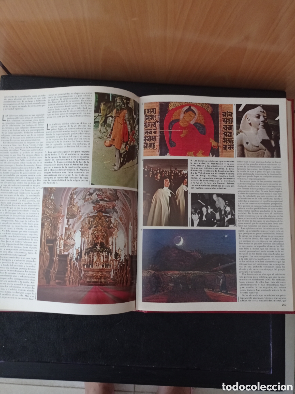 Enciclopedias: Gran enciclopedia de la vida - Foto 1