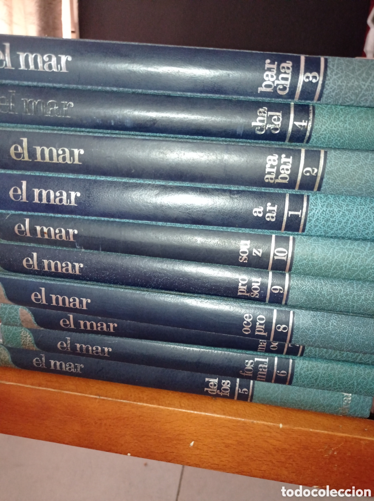 Enciclopedias: Gran enciclopedia del mar - Foto 2