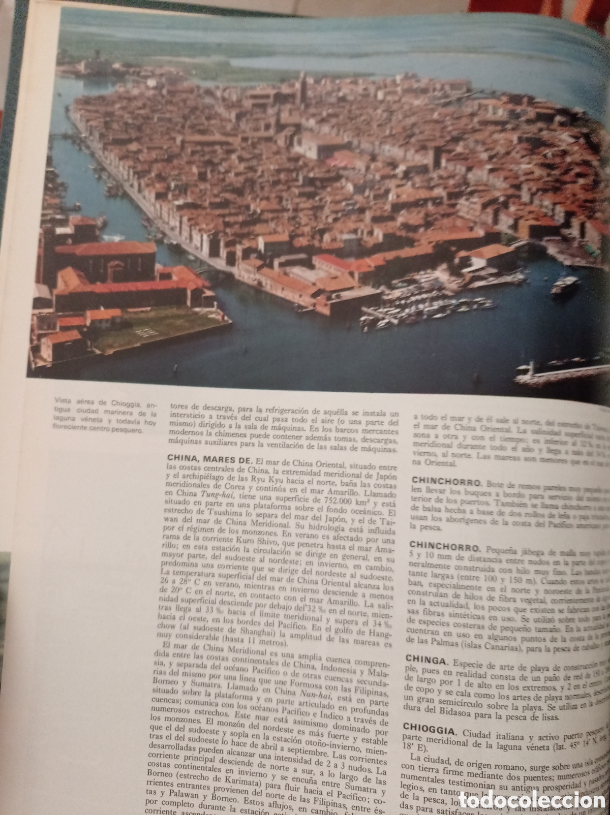 Enciclopedias: Gran enciclopedia del mar - Foto 7