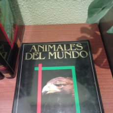Enciclopedias: ANIMALES DEL MUNDO. Lote 399501204
