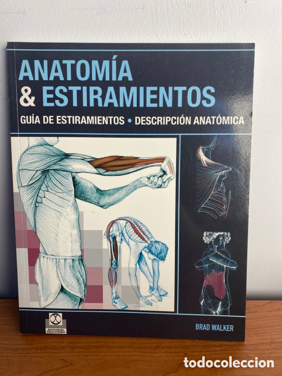 Anatomía & Estiramientos De Brad Walker - Compra Venta En Todocoleccion