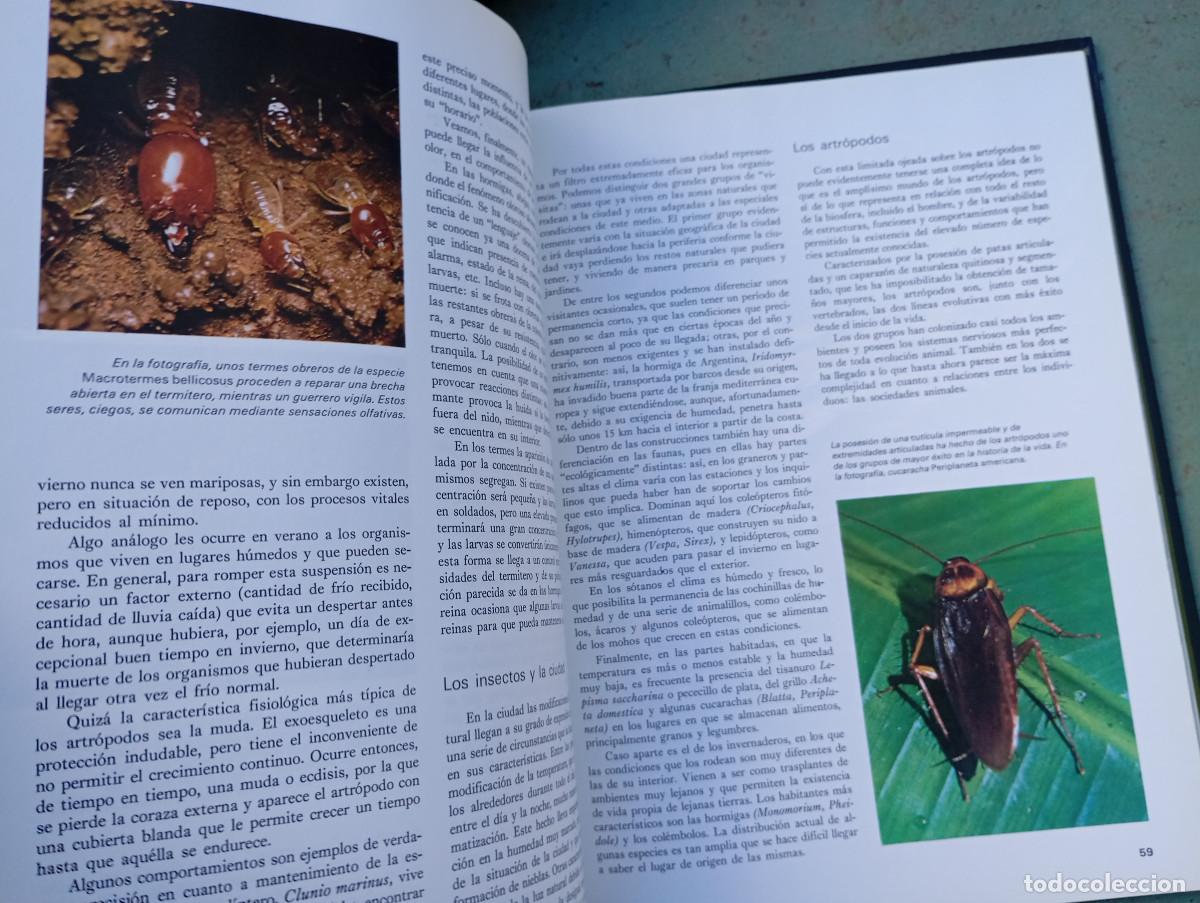 Enciclopedias: enciclopedia de geografia universal - Foto 3