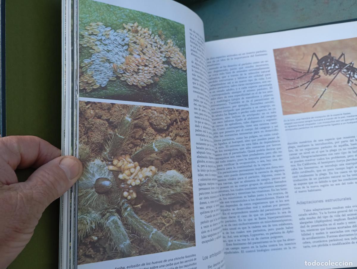 Enciclopedias: enciclopedia de geografia universal - Foto 4