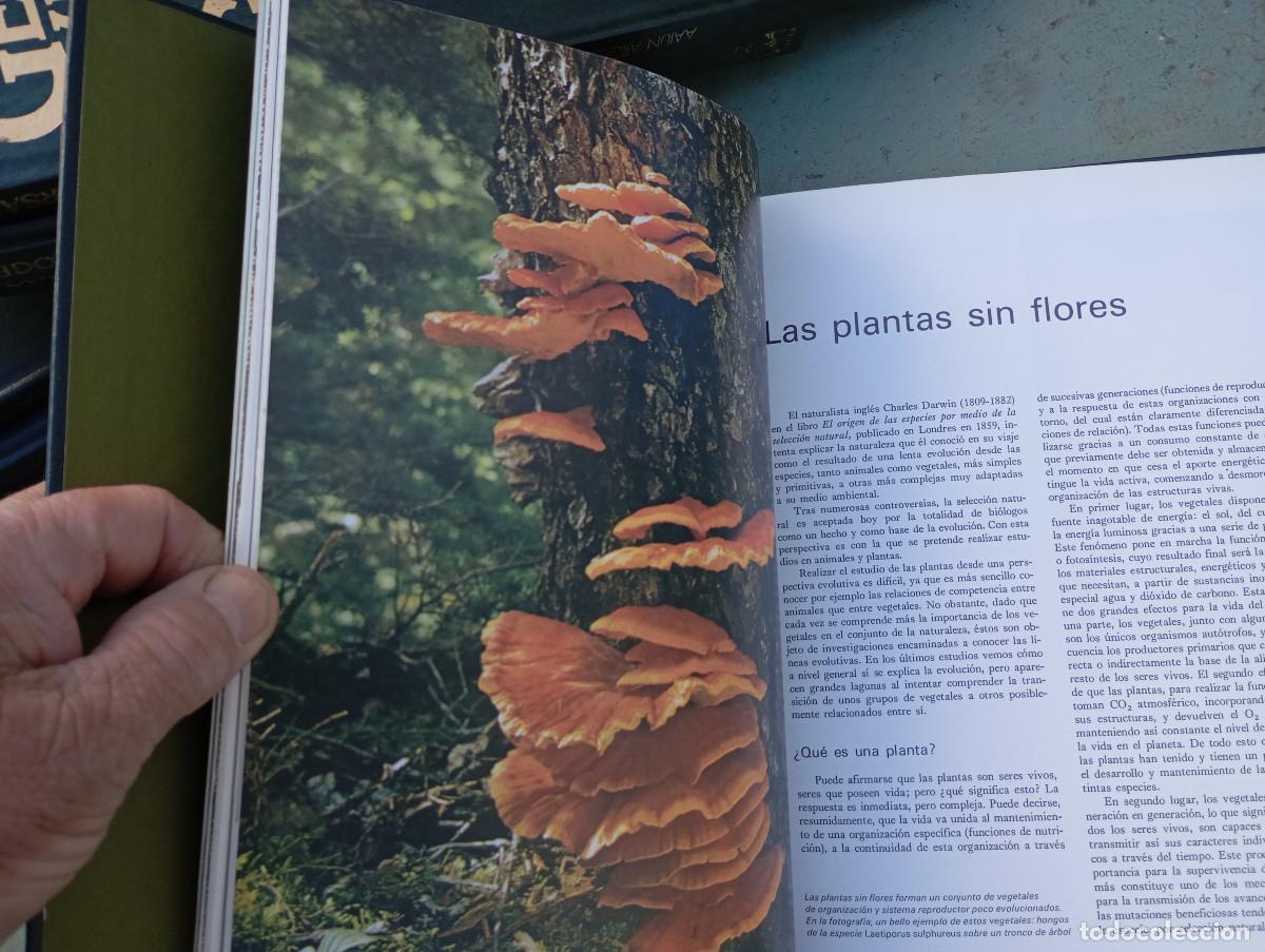 Enciclopedias: enciclopedia de geografia universal - Foto 5