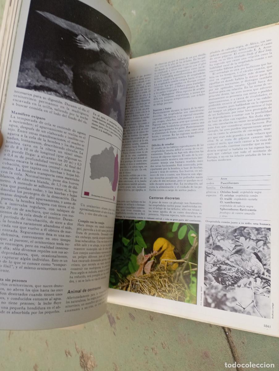 Enciclopedias: enciclopedia de la vida animal - Foto 4