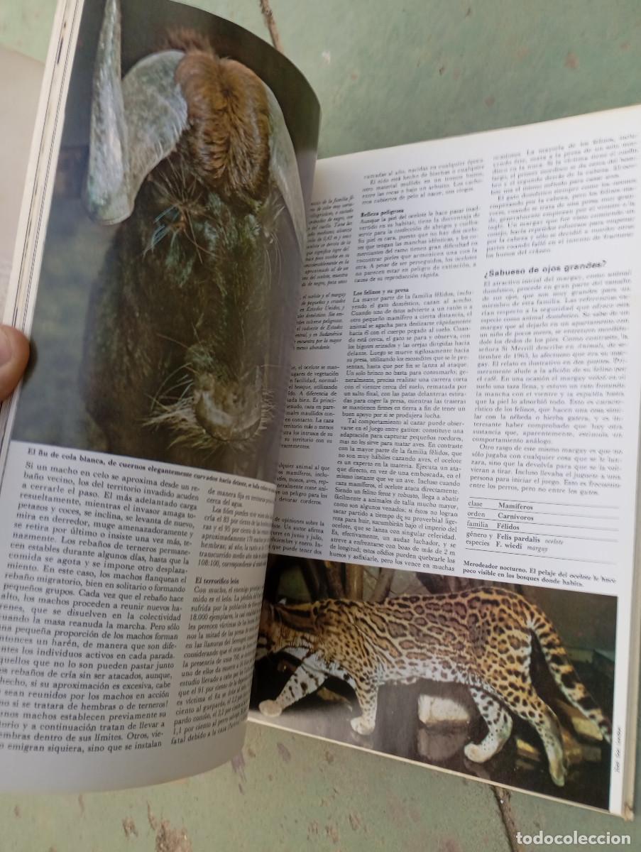 Enciclopedias: enciclopedia de la vida animal - Foto 6