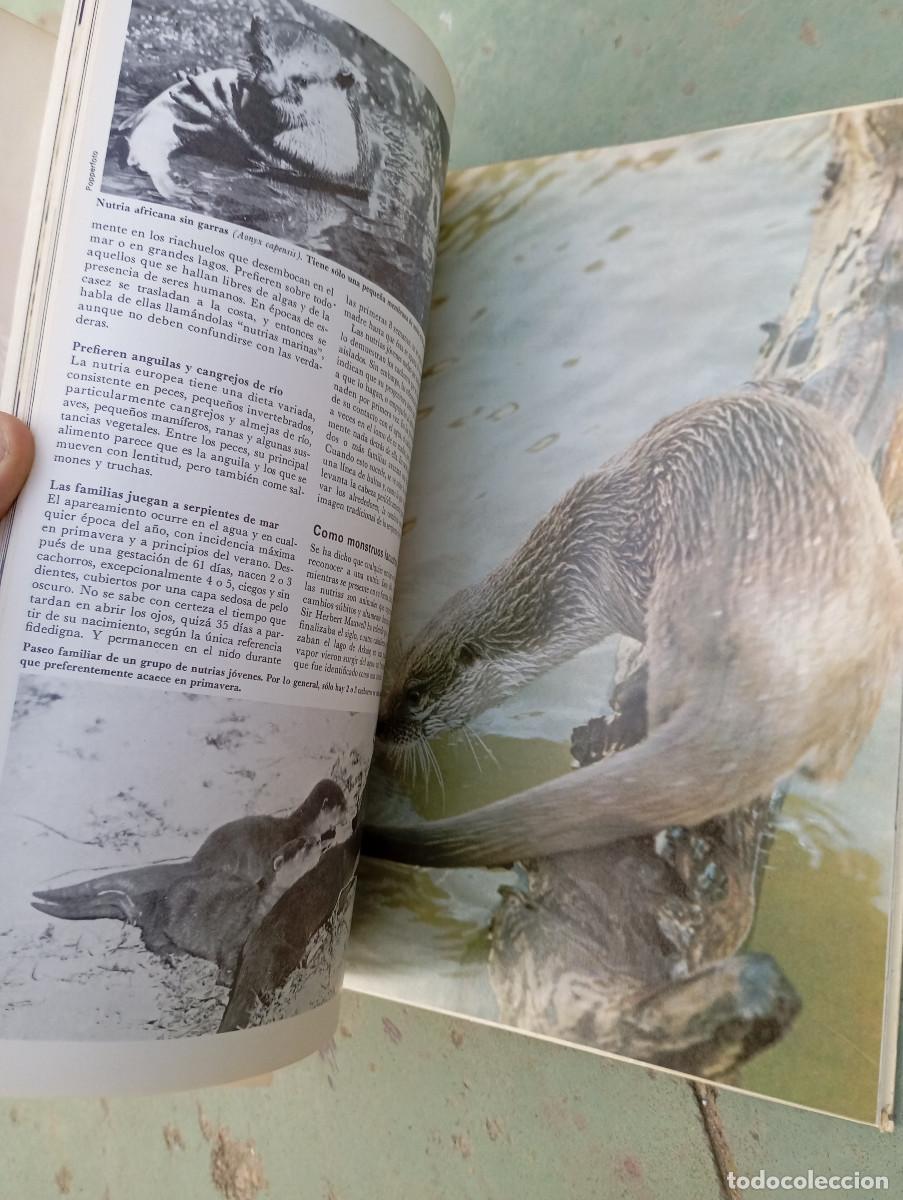 Enciclopedias: enciclopedia de la vida animal - Foto 7