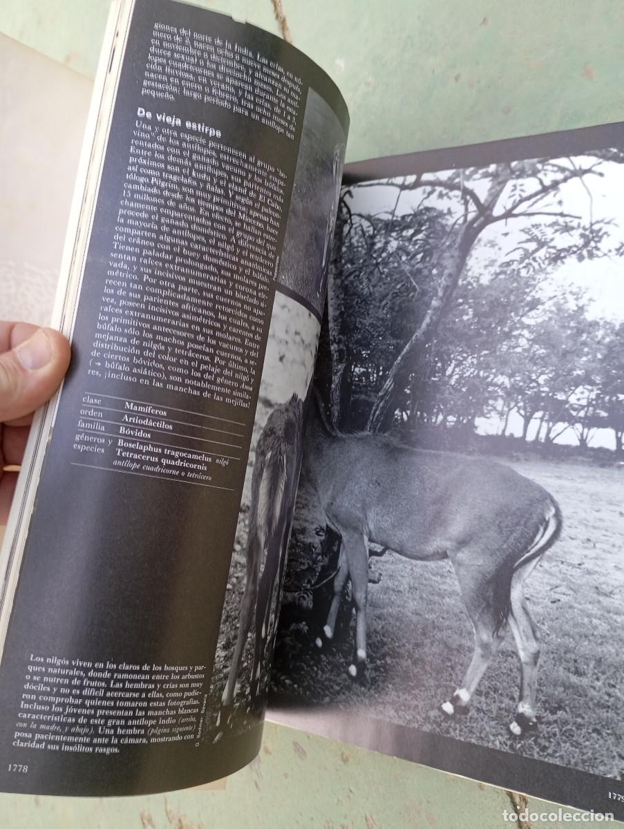Enciclopedias: enciclopedia de la vida animal - Foto 8