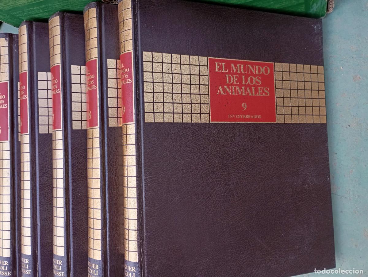Enciclopedias: el mundo de los animales - Foto 5