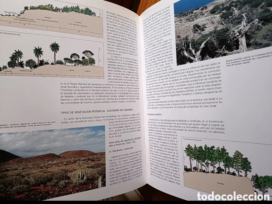 Enciclopedias: Gran Atlas de Canarias (2 tomos) - Foto 7