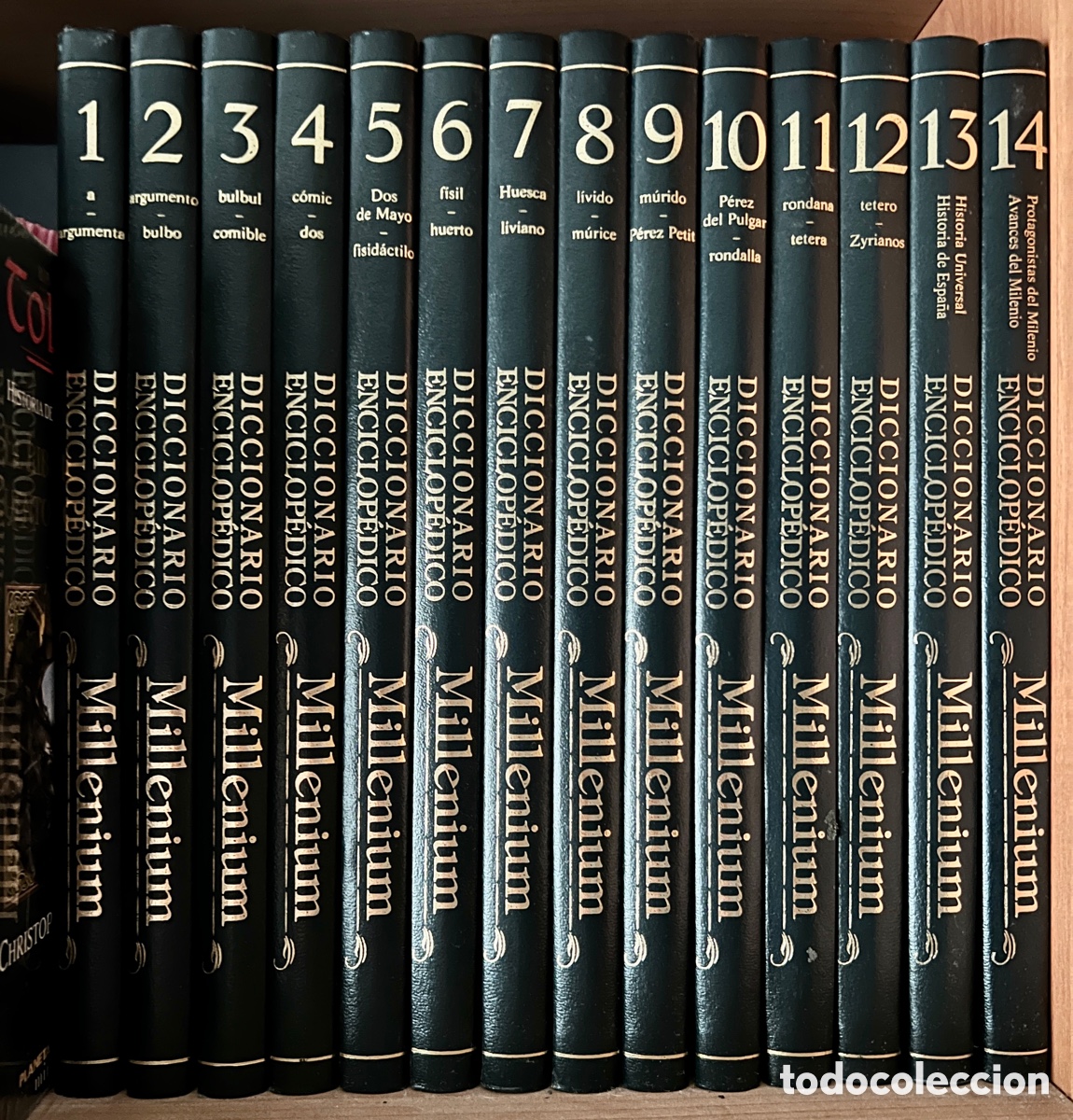 Enciclopedias: Diccionario Enciclop&eacute;dico Millenium 14 tomos - Foto 1