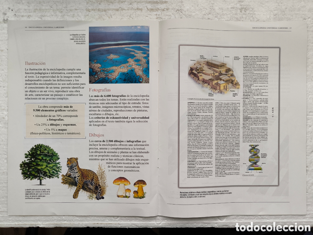 Enciclopedias: Enciclopedia Larousse (Ed. 2007) - Foto 8