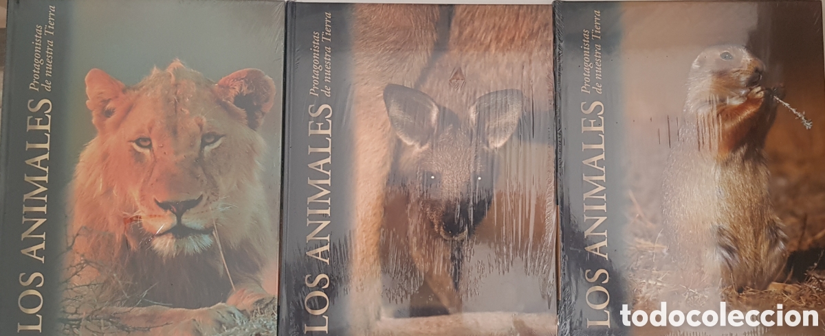 Enciclopedias: Enciclopedia de los animales - Foto 2