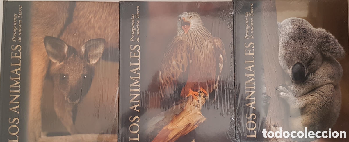 Enciclopedias: Enciclopedia de los animales - Foto 3