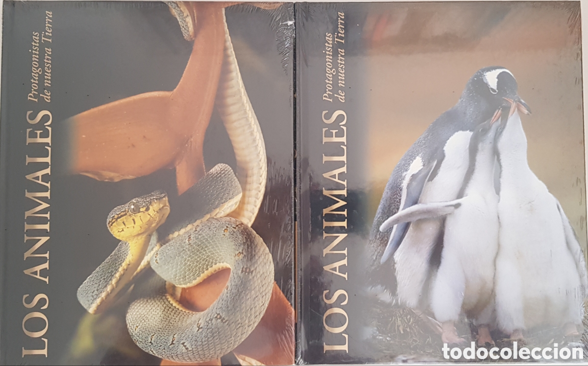 Enciclopedias: Enciclopedia de los animales - Foto 4