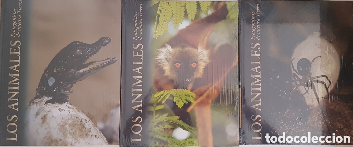 Enciclopedias: Enciclopedia de los animales - Foto 1