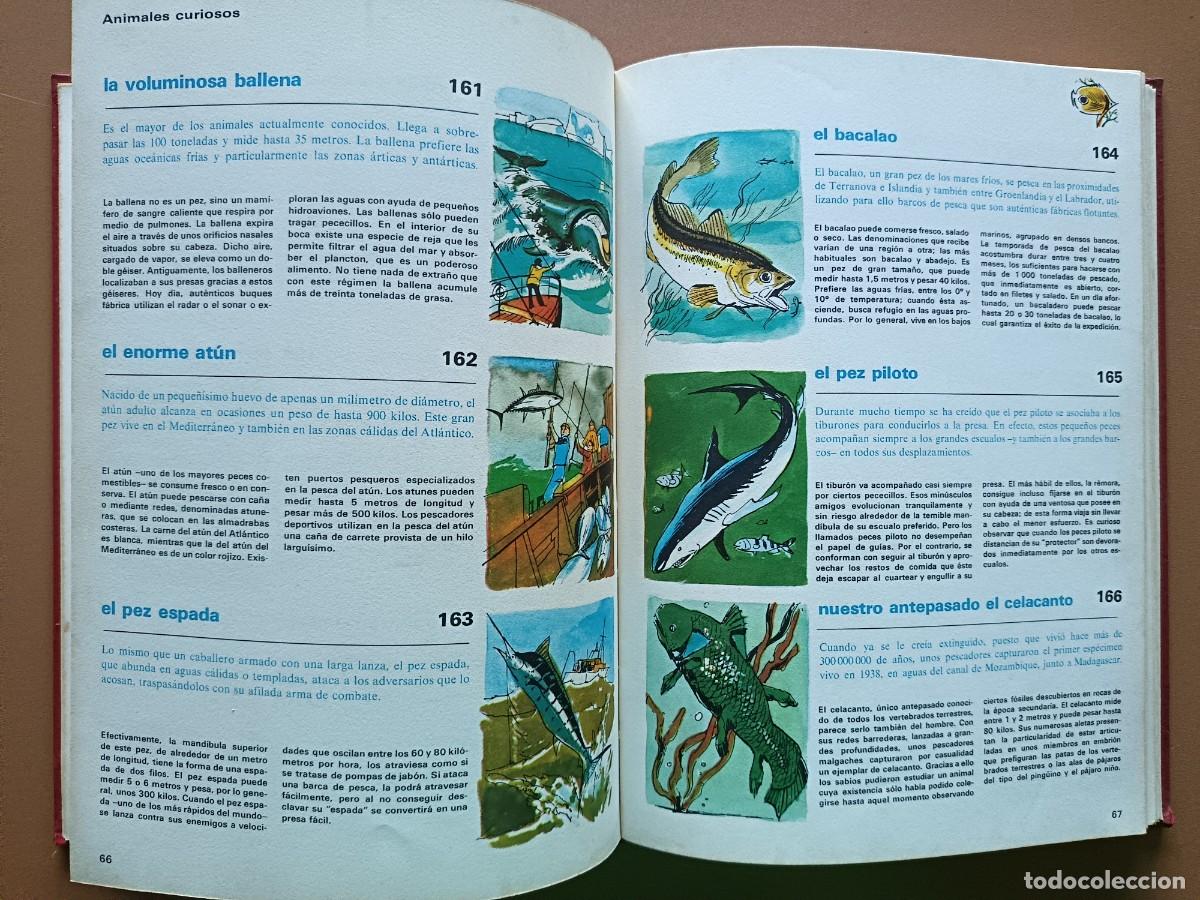 Enciclopedias: ENCICLOPEDIA DIME - 10 VOL. - 1981 - Foto 6