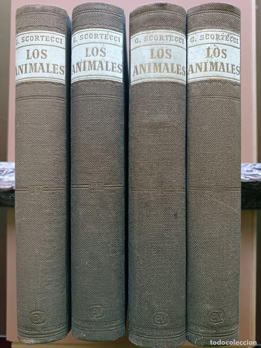 Livres: LOS ANIMALES- 4 VOL. 1962