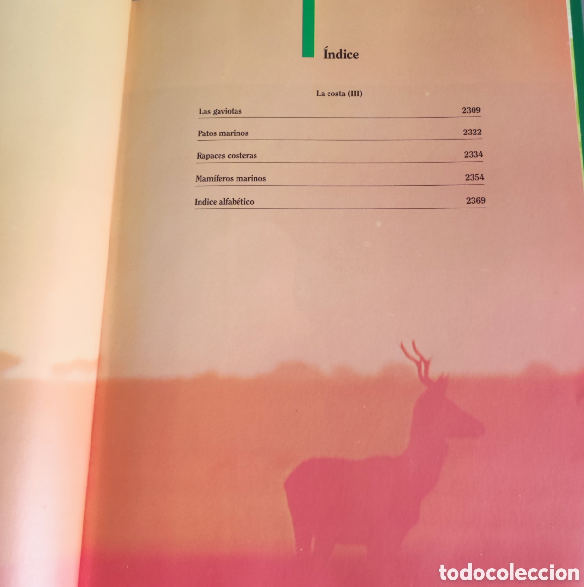 Enciclopedias: Fauna Ib&eacute;rica n&uacute;m 30 - Foto 3