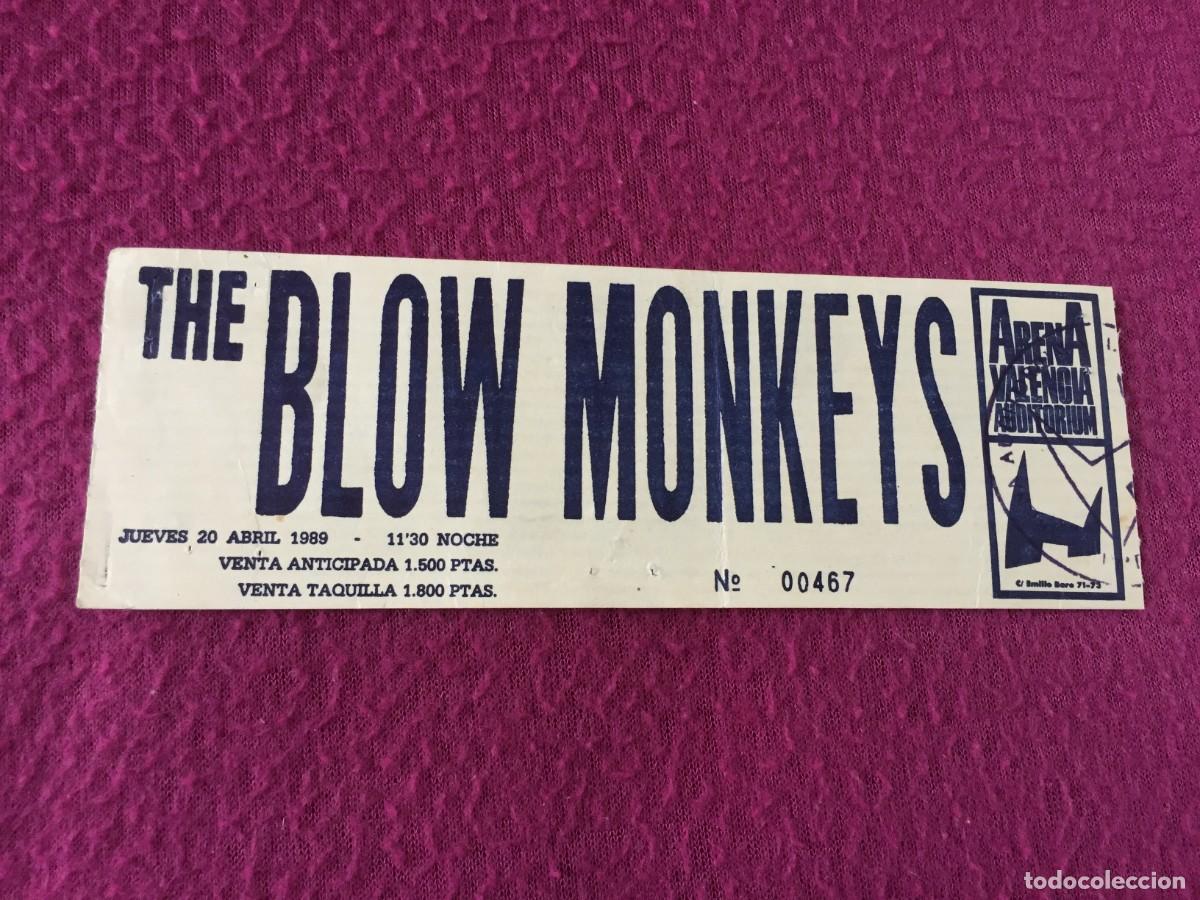 Entradas antiguas de conciertos: Entrada Original concierto The BLOW MONKEYS 1989 Arena auditorium ( VALENCIA )