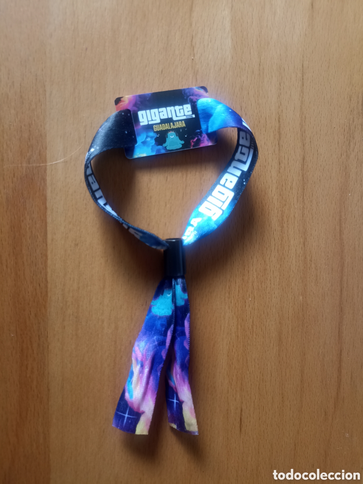 Entradas antiguas de conciertos: Pulsera de Festival Gigante 2026