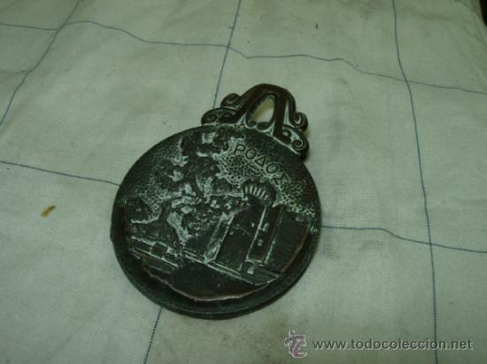 Escriban&iacute;a: Pinzacolosus rhodes - Foto 5