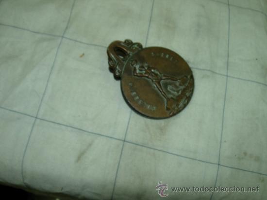 Escriban&iacute;a: Pinzacolosus rhodes - Foto 3