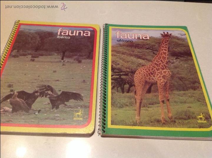 Escriban&iacute;a: Cuadernos de FAUNA - Foto 1