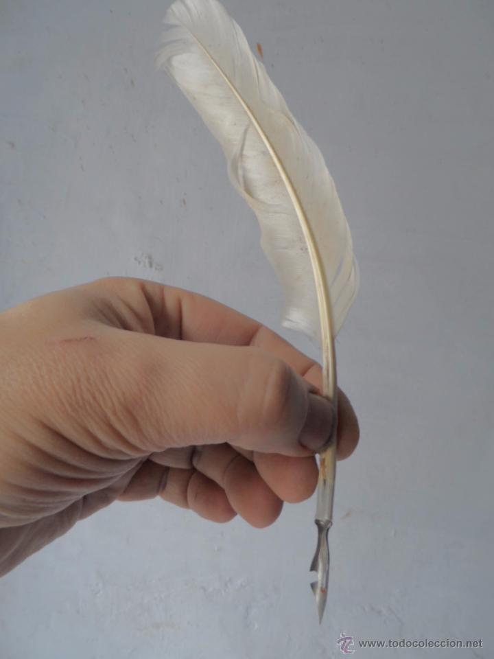 Escriban&iacute;a: plumilla de escribir pluma natural - Foto 2