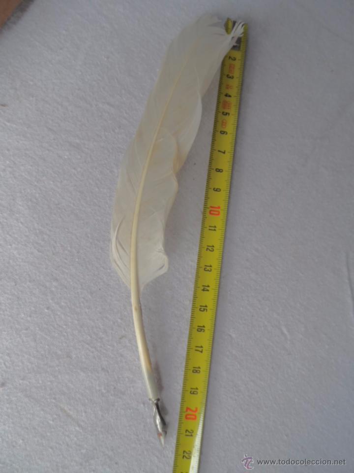 Escriban&iacute;a: plumilla de escribir pluma natural - Foto 4