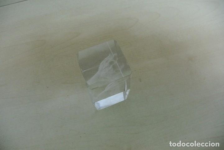 Escriban&iacute;a: PISA PAPEL DE CRISTAL - Foto 2