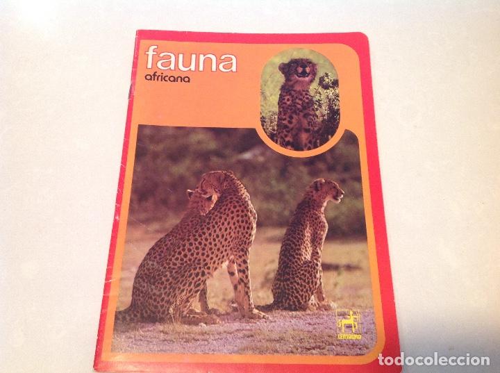 Escriban&iacute;a: FAUNA AFRICANA - Foto 1