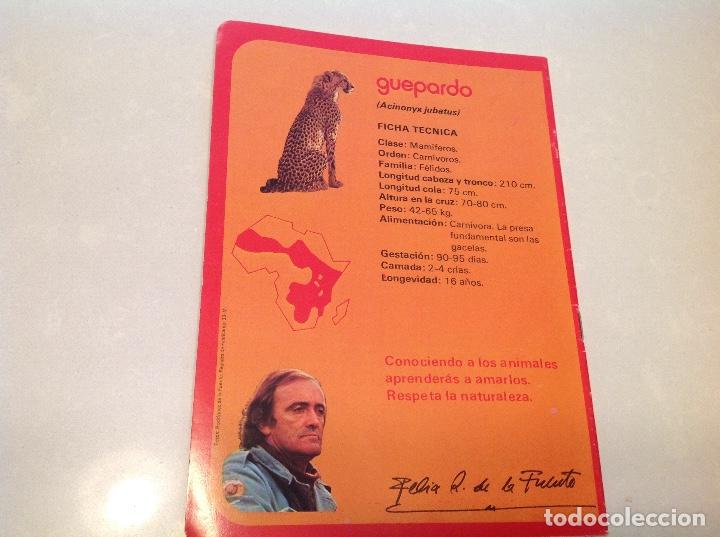 Escriban&iacute;a: FAUNA AFRICANA - Foto 2