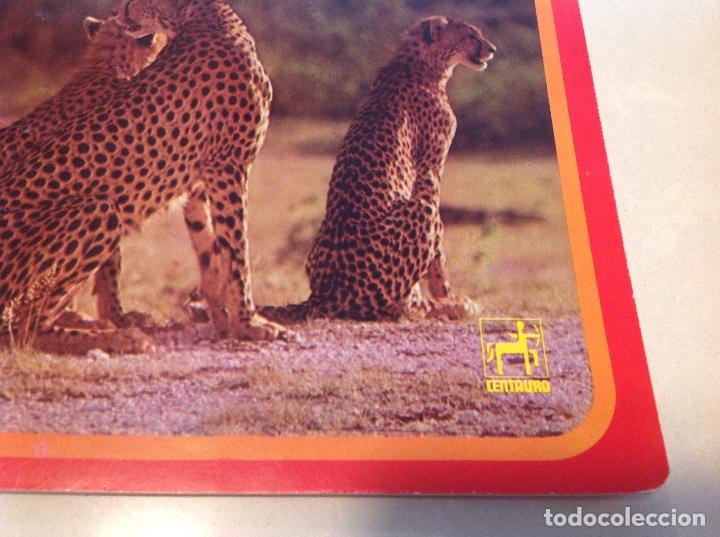 Escriban&iacute;a: FAUNA AFRICANA - Foto 4