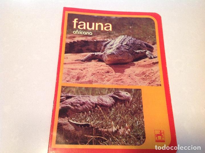Escriban&iacute;a: Cuadernillo Fauna Africana , CENTAURO - Foto 1