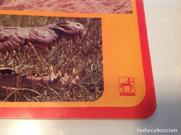 Escriban&iacute;a: Cuadernillo Fauna Africana , CENTAURO - Foto 4