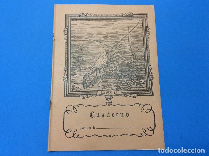 Escriban&iacute;a: Cuaderno Sam Langosta - Foto 1