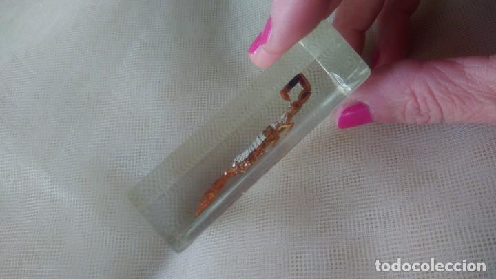 Escriban&iacute;a: PISAPAPELES CON ESCORPI&Oacute;N - Foto 4
