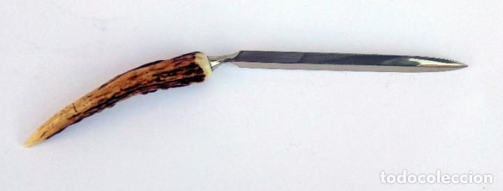 Escriban&iacute;a: ABRECARTAS CON MANGO DE CUERNA DE CIERVO VENADO - 23 CM - Foto 1