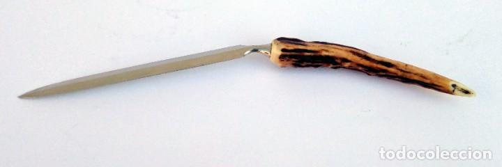 Escriban&iacute;a: ABRECARTAS CON MANGO DE CUERNA DE CIERVO VENADO - 23 CM - Foto 3
