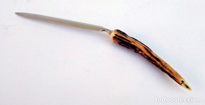 Escriban&iacute;a: ABRECARTAS CON MANGO DE CUERNA DE CIERVO VENADO - 23 CM - Foto 4