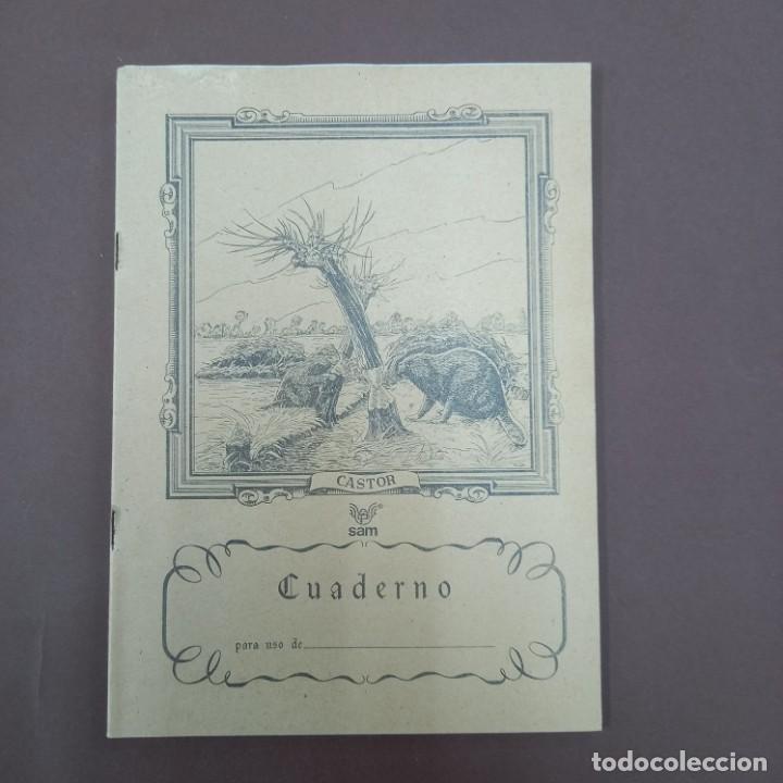 Escriban&iacute;a: Cuaderno sam castor - Foto 1