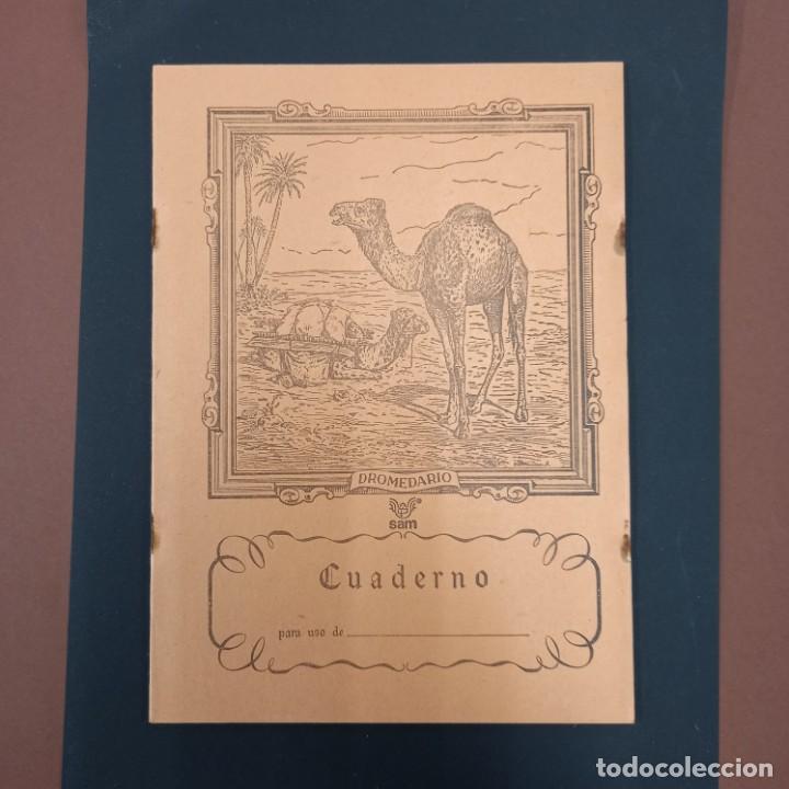Escriban&iacute;a: Cuaderno sam dromedario - Foto 1
